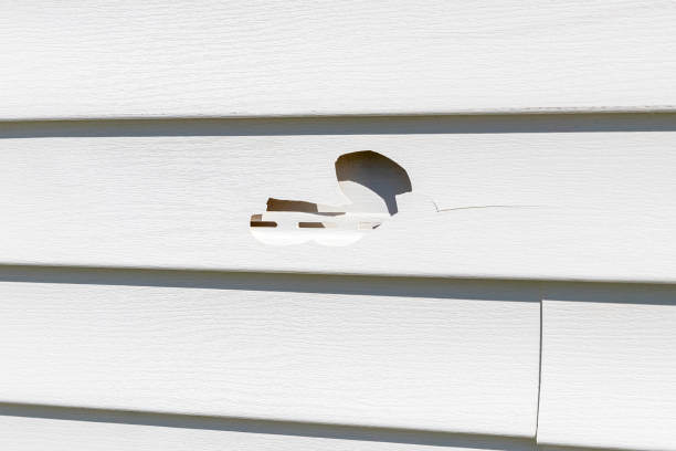 Custom Trim and Detailing for Siding in Wasilla, AK