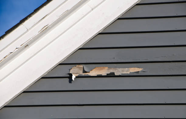 Best Historical Building Siding Restoration  in Wasilla, AK